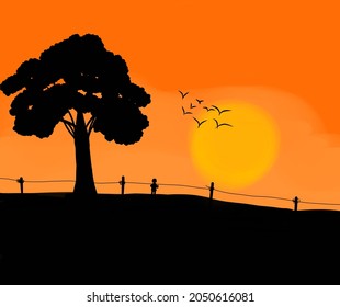 A Person Watching The Sunset Alone And Holding The Fence Beside A Tall Tree He Also Saw A Flock Of Birds Flying