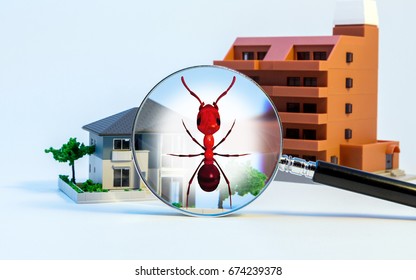 Pest Control Of Residence Concept. 3D Rendered Fire Ant.