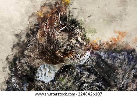 Image, Stock Photo Cat in the bush Bushes