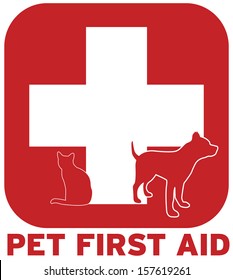 7,947 Pet first aid Stock Illustrations, Images & Vectors | Shutterstock