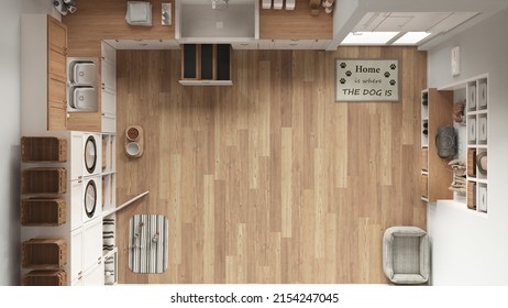 Pet Friendly Modern White And Wooden Laundry Room, Mudroom With Cabinets And Equipment. Dog Shower Bath With Ladder, Dog Bed And Carpet. Top View, Plan, Above. Interior Design, 3d Illustration