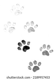 Pet Paw Prints On Paper. Monochrome Texture With Dog Or Cat Paw Prints. Background In Shades Of Grey. Dog Or Cats Footprints On Paper.