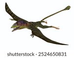 Peteinosaurus Pterosaur 3d illustration - Peteinosaurus was a small carnivorous pterosaur from the Triassic Period and was found near Cene, Italy.