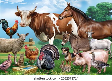 2,439 Donkey milk Images, Stock Photos & Vectors | Shutterstock