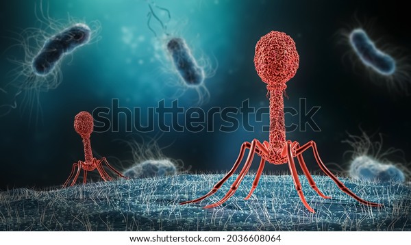 Phage infecting bacterium\
close-up 3D rendering illustration. Microbiology, medical,\
bacteriology, biology, science, healthcare, medicine, infection\
concepts.