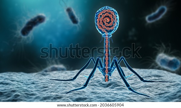 phage inserting\
its DNA into a bacterium 3D rendering illustration close-up.\
Microbiology, medical, bacteriology, biology, science, healthcare,\
medicine, infection\
concepts.