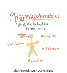 Pharmacokinetics What Body Does Drug Stock Illustration 2099695102 ...