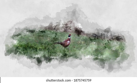 Pheasant running across a field in winter taken as a photograph with a water colour filter applied   