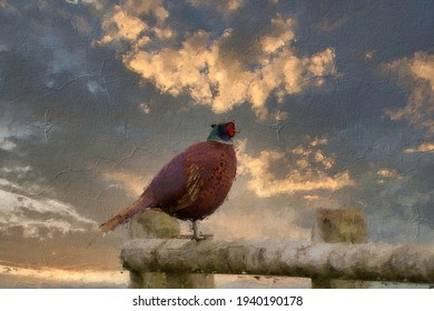 Pheasant Sitting On A Wooden Fence In The Evening Sunset Sky Oil Painting