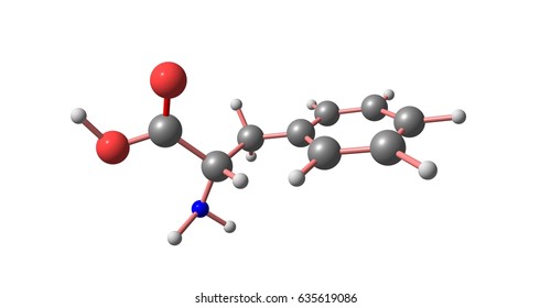 Phenylalanine Phe Amino Acid Formula C9h11no2 Stock Illustration ...