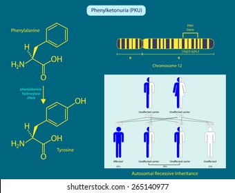 Phenylketonuria