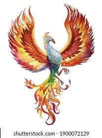 Phoenix Bird Watercolor Illustration On White Background