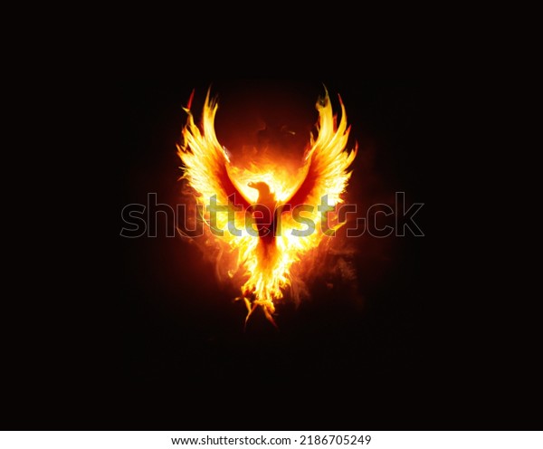 Burning bird