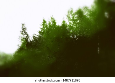 Photo Collage Forest Silhouette Watercolour Texture Stock Illustration ...