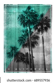 Photo Print California Palm Illustration, Tee Shirt Graphics, Typography