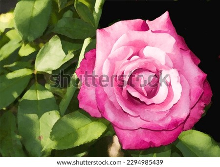 The photo transformed into a painting of a perfect pink rose and leaves. This watercolor, with its balance of light and dark, accents the essence of this beautiful flower and gives it depth.
