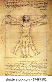 Photo of the Vitruvian Man by Leonardo Da Vinci from 1492 on textured background.