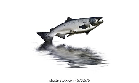 Photograph of a large model salmon with reflected water added