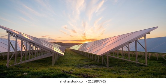 Photovoltaic Farm On A Green Field.3D Illustration.