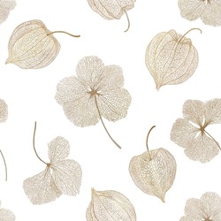 Physalis Dry Flowers Seamless Watercolor Pattern. Golden Berry Leaves Skeleton.  Cape Gooseberry Botanical Illustration. Elegant Floral Print Isolated On White.