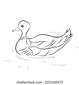 Pic duck for coloring book
