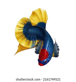 Picture For Make Betta Logo