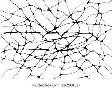 Picture: Morphological Structure Of Neocortex And Neurons Synaptic Connections Between Cells