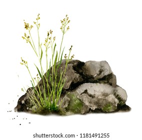 Picture Of A Mossy Boulder, Rock And Grass Hand Painted In Watercolor Isolated On A White Background.