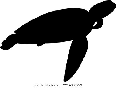 It's A Picture That I Drew Myself. This Is The Shadow Of A Sea Turtle.