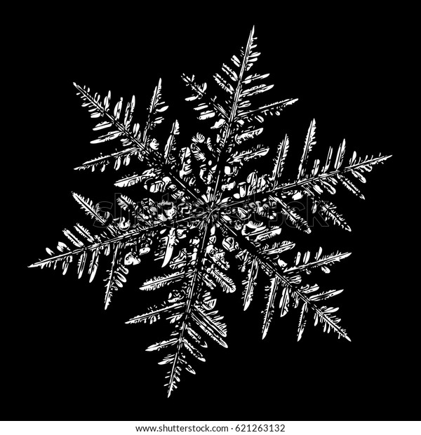 Picture White Snowflake On Black Background Stock Illustration 621263132