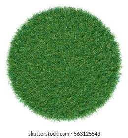 Piece Of Round Shape Grass Isolated As Background. Top View. 3D Illustration