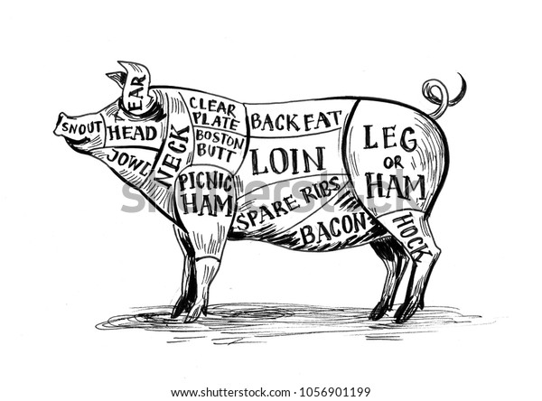 Pig Butcher Chart