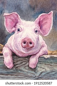 Pig. Farm Animals. Cute Baby Piggy. Watercolor Painting. Acrylic Drawing Art.