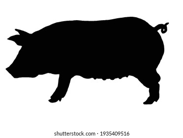 Pig illustration in solid black