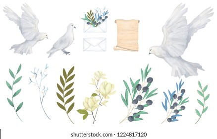 Pigeon and olive clip art digital drawing watercolor bird fly peace dove for wedding celebration illustration similar on white background