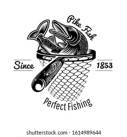 Pike Fish Head Up From Landing Net In Engraving Style. Label For Fishing Or Fishing Shop Isolated On White