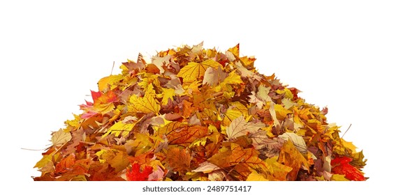 Pile of autumn colored leaves isolated on white background. Colorful foliage of maple leaves in the fall season. 3D illustration - Powered by Shutterstock