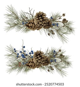 Pine branches and fluffy cones. Set of forest compositions, red and blue winter berries. Watercolor illustration in digital format. Spruce twig isolated on the background. For fall and Christmas theme