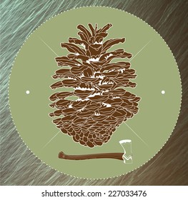 Pine cone