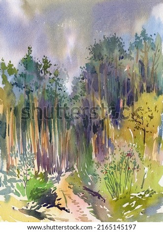 Pine forest with road. Fine art painting. Watercolor landscape from nature. Shades of green colors.