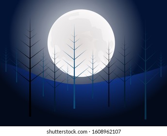 Pine forest under full moon light. Night time in the mountains in the forest.