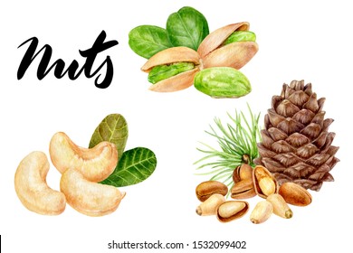 Pine nut pistachio cashew set composition watercolor isolated on white background