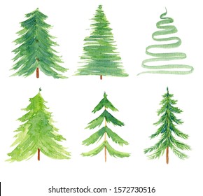 Pine simple watercolor hand drawn illustrations set. Coniferous trees green paint drawings pack. Aquarelle forest items, green firs, pine-trees collection isolated on white background