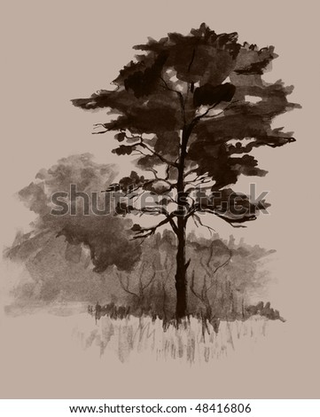  Pine Tree Hand Drawing Sketch Stock Illustration 48416806 - Shutterstock