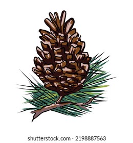 Pine tree on a branch