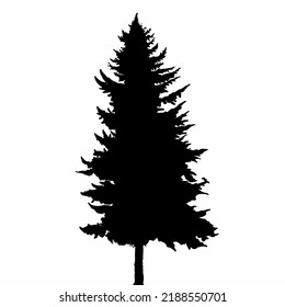 Pine Tree Vector Image You Can Use It To Create Procreate And Infinite Painter Brush