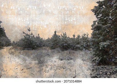 Pine winter forest. Evergreen trees covered with snow. An overcast, frosty day. After the snowfall. Digital watercolor painting