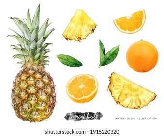 Pineapple orange set watercolor illustration isolated on white background - Powered by Shutterstock