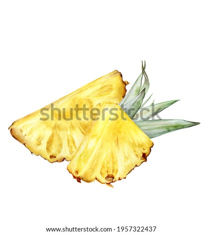 Pineapple watercolor illustration isolated on white background