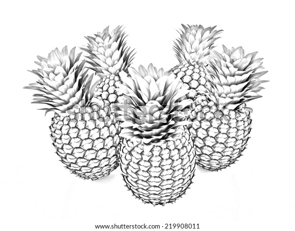 Pineapple Pencil Drawing 